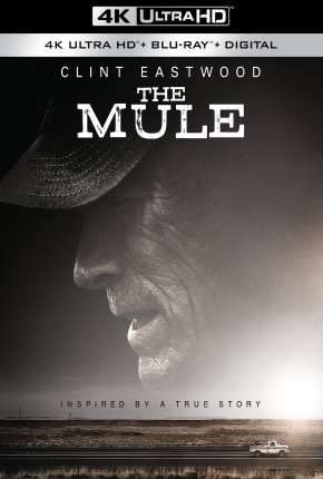 A Mula 4K (2019) — Download Torrent em HD, 1080p ou 4K
