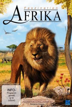Baixar Filme África Extraordinária (2012) em Torrent — Dublado e Dual Áudio