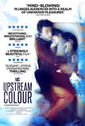 Download de Cores do Destino - Legendado (2013) — Torrent Dublado e Legendado