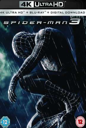 Baixar Filme Homem-Aranha 3 4K (2007) em Torrent — Dublado e Dual Áudio