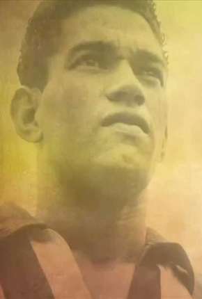Download de O Mito de Garrincha (2017) — Torrent Dublado e Legendado