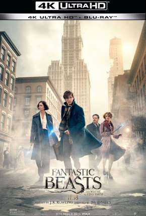 Download de Animais Fantásticos e Onde Habitam - 4K (2016) — Torrent Dublado e Legendado