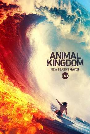 Animal Kingdom - 4ª Temporada Legendada (2019) Torrent — Baixar em Alta Definição
