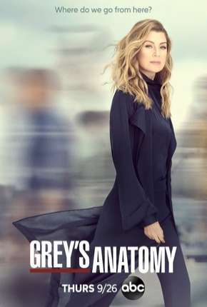 A Anatomia de Grey - Greys Anatomy - 16ª Temporada (2019) Torrent — Baixar em Alta Definição