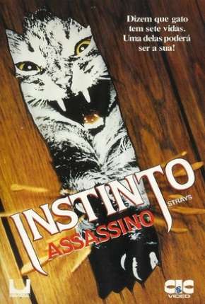 Filme Instinto Assassino (1991) para Download em Torrent