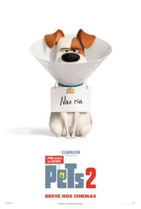Baixar Filme Pets - A Vida Secreta dos Bichos 2 (2019) em Torrent — Dublado e Dual Áudio