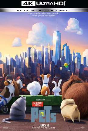Pets - A Vida Secreta dos Bichos - 4K (2016) — Download Torrent em HD, 1080p ou 4K
