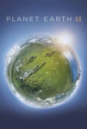 Planeta Terra - 2ª Temporada (2016) Torrent — Baixar em Alta Definição