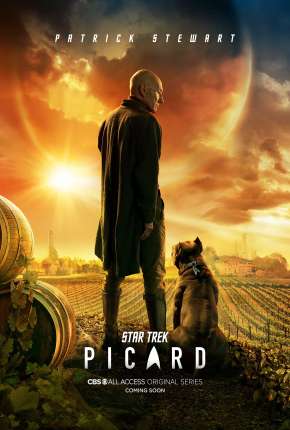 Star Trek - Picard - 1ª Temporada (2020) — Download Torrent em HD, 1080p ou 4K