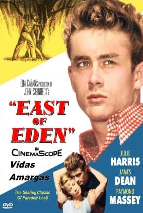 Vidas Amargas (1955) — Download Torrent em HD, 1080p ou 4K