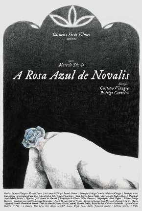 Baixar Filme A Rosa Azul de Novalis (2020) em Torrent — Dublado e Dual Áudio
