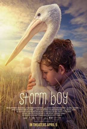 Amigos Para Sempre - Storm Boy (2020) — Download Torrent em HD, 1080p ou 4K