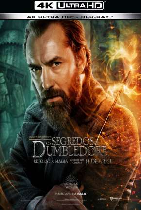 Animais Fantásticos - Os Segredos de Dumbledore 4K (2022) — Download Torrent em HD, 1080p ou 4K