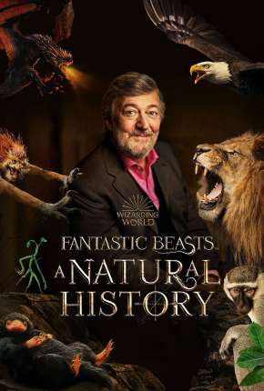 Filme Animais Fantásticos - Uma História Natural (2022) para Download em Torrent