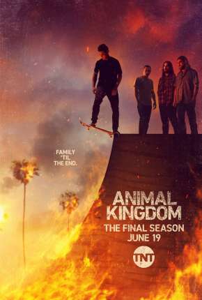 Série Animal Kingdom - 5ª Temporada Legendada (2021) para Download em Torrent