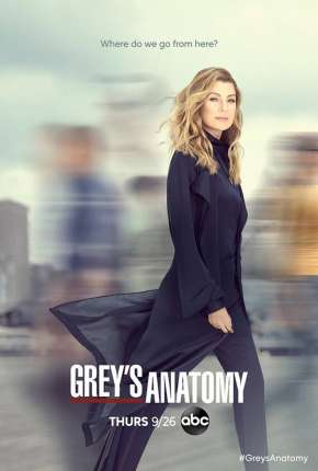 Greys Anatomy - 19ª Temporada Legendada (2022) Torrent — Baixar em Alta Definição