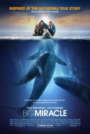 Download de O Grande Milagre - Big Miracle (2012) — Torrent Dublado e Legendado