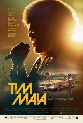 Filme Tim Maia - Não Há Nada Igual (2014) para Download em Torrent