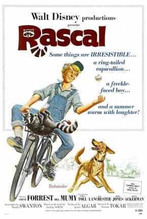 Baixar Filme Rascal, o Amiguinho Travesso - Legendado (1969) em Torrent — Dublado e Dual Áudio